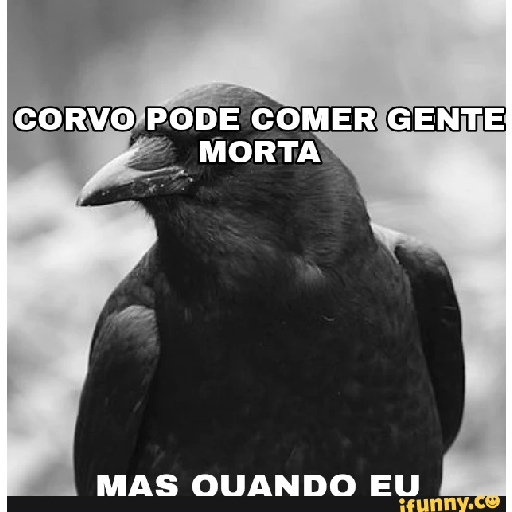 Corvos memes 24
