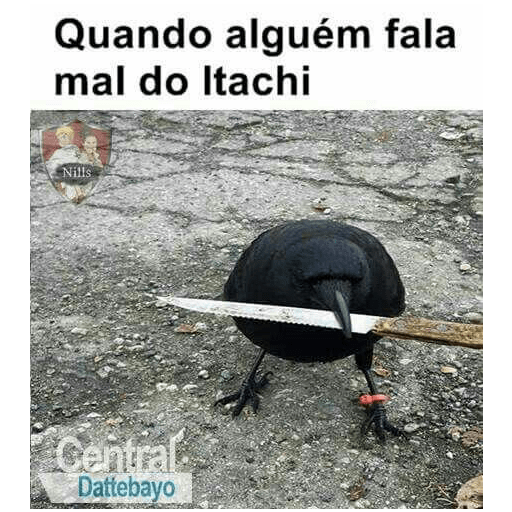 Corvos memes 13