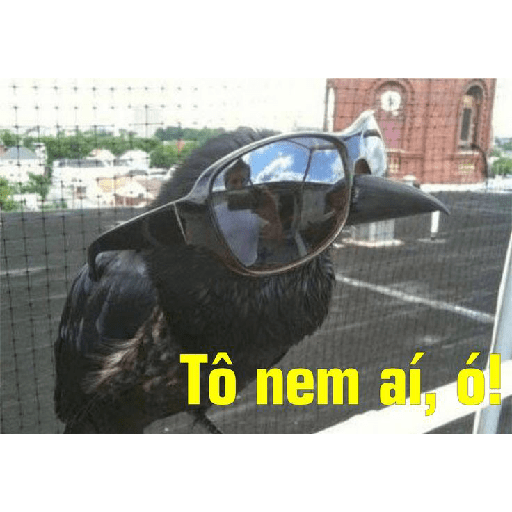 Corvos memes 9