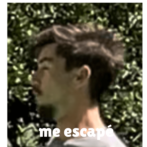Emperaneta 3