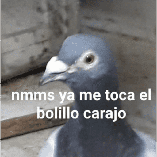 Memesticker 1.7 7