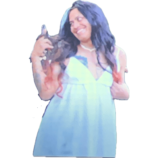 Memesticker 1.7 5