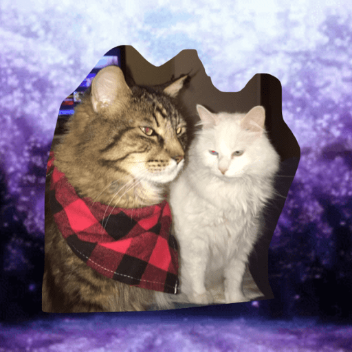 Sticker Image