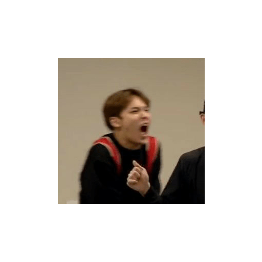 Seventeen memes 5