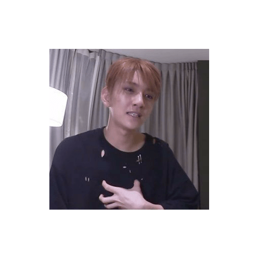 Seventeen memes 21