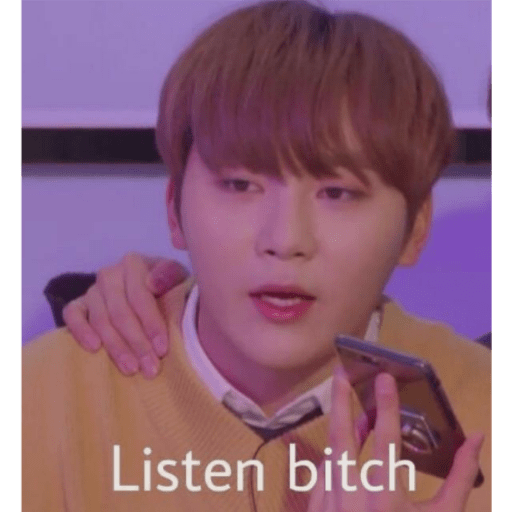 Seventeen memes 26