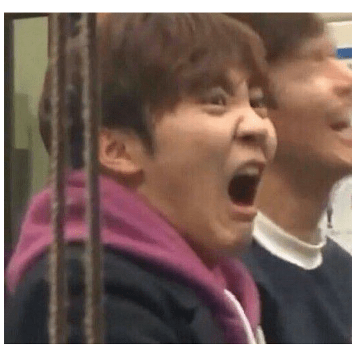 Seventeen memes 23