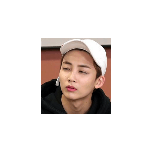 Seventeen memes 22