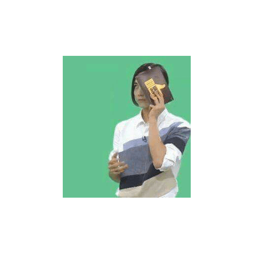Seventeen memes 4