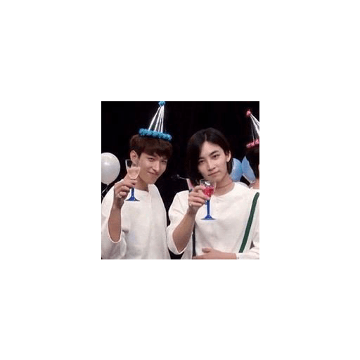 Seventeen memes 11