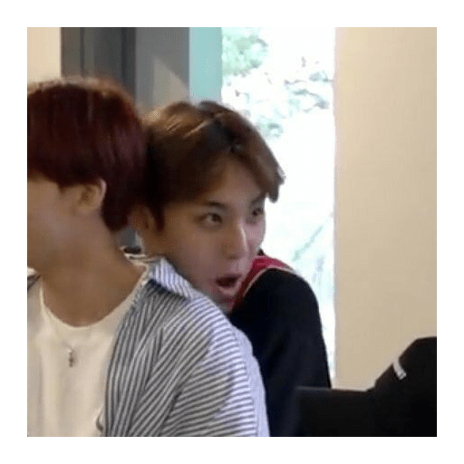 Seventeen memes 2