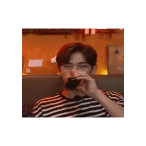 Seventeen memes 12