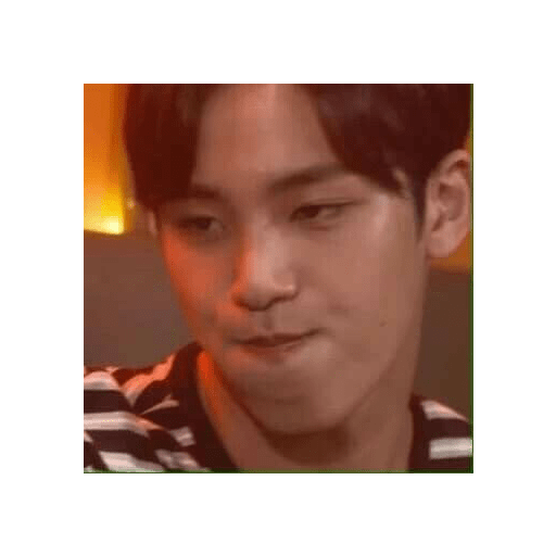 Seventeen memes 13