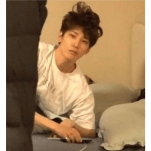 Seventeen memes 28