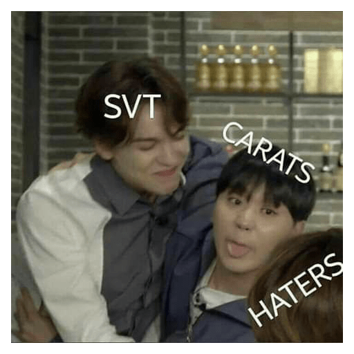 Seventeen memes 7