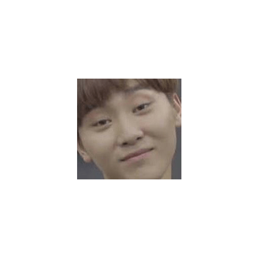 Seventeen memes 20