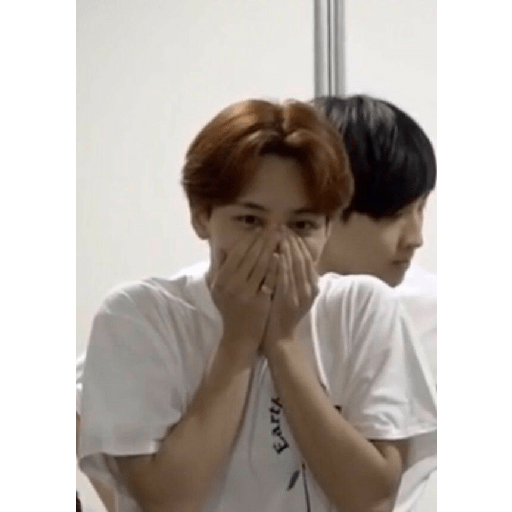 Seventeen memes 6