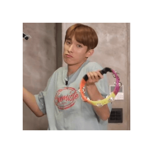 Seventeen memes 18
