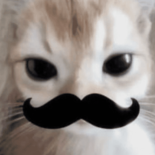 Jajakwmsiizms 11