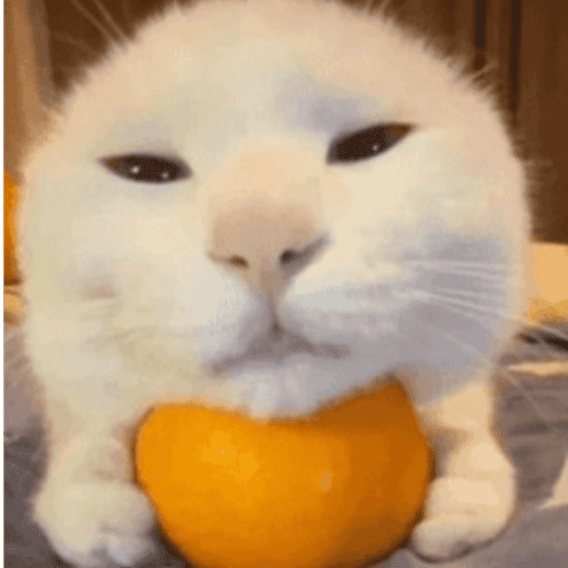Jajakwmsiizms 1