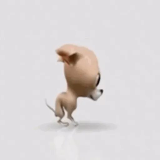 XDD 10