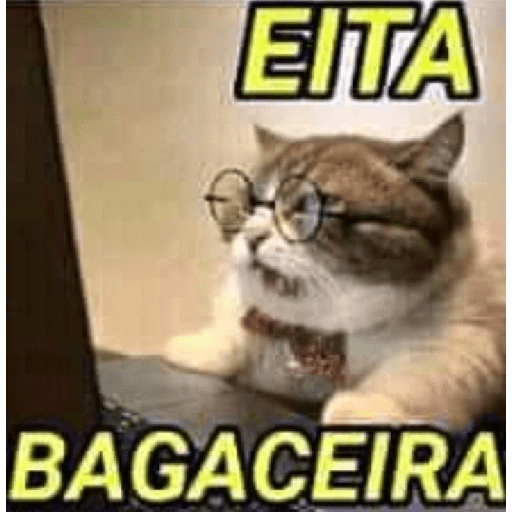 FRASES, EXPRESSÕES E GIRIAS 23