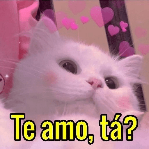 AMOR 1