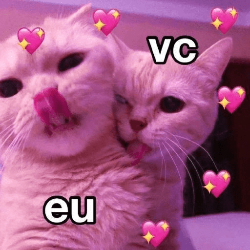 AMOR 3