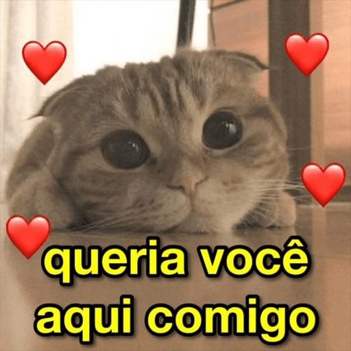 AMOR 11