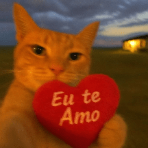 AMOR 17