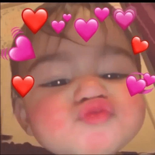 AMOR 24