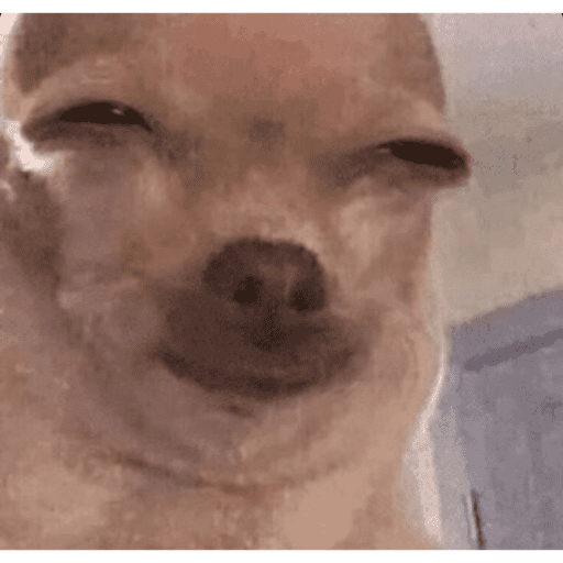 ANIMAIS DEBOCHADOS 😂 11
