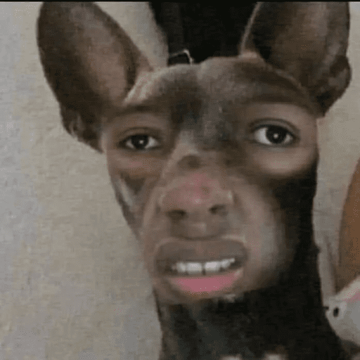 ANIMAIS DEBOCHADOS 😂 13