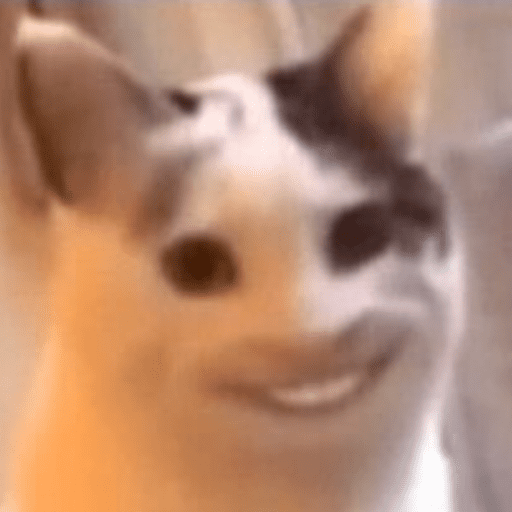 ANIMAIS DEBOCHADOS 😂 14
