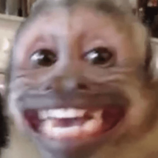 ANIMAIS DEBOCHADOS 😂 5