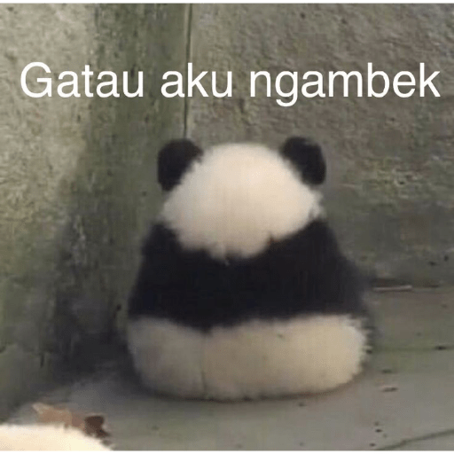 Tapi boong 3