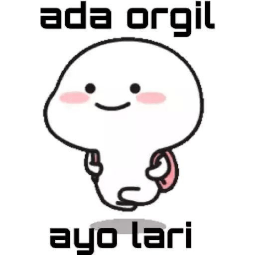 Tapi boong 23