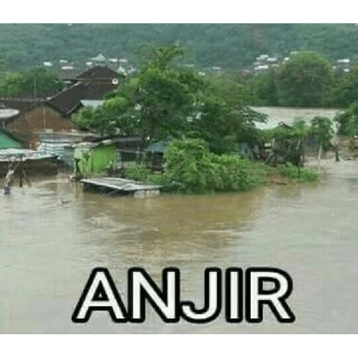 Tapi boong 14