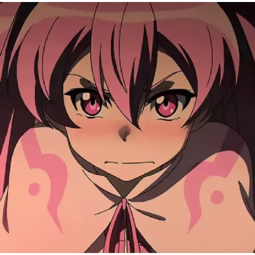 Akame ga Kill! 13