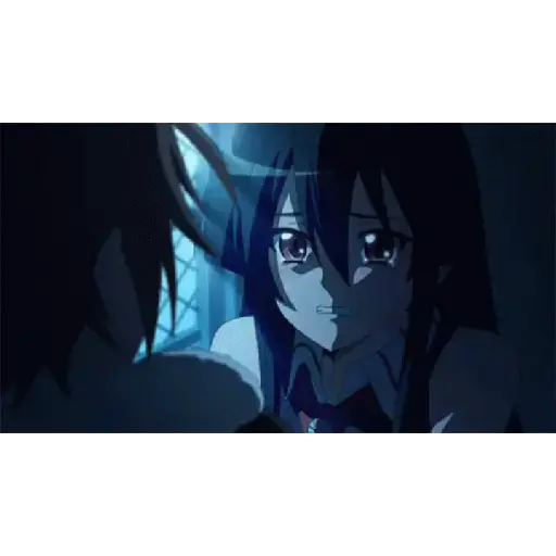 Akame ga Kill! 28