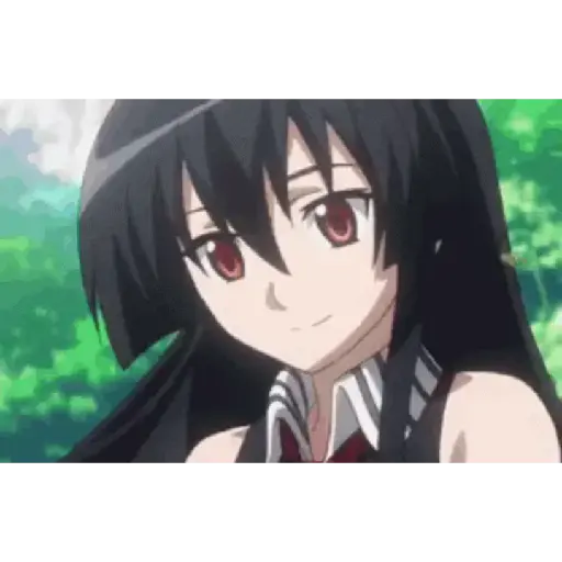 Akame ga Kill! 23