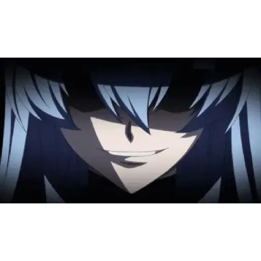 Akame ga Kill! 2
