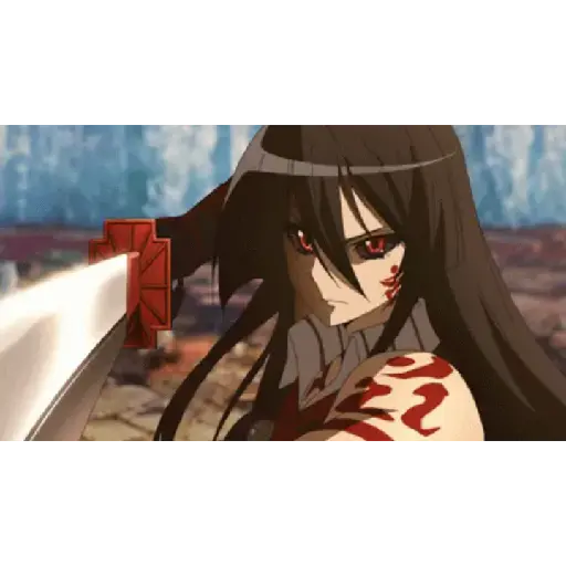 Akame ga Kill! 19