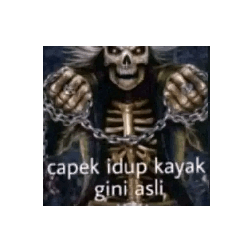 Orang hitam 16