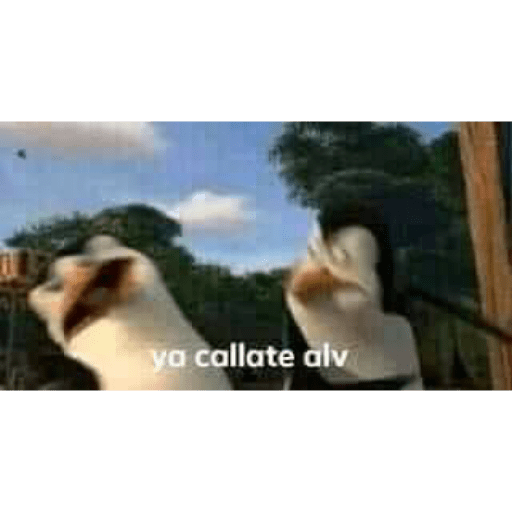 Aaaaaaa 16