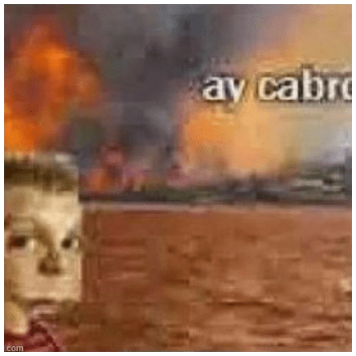 Aaaaaaa 24