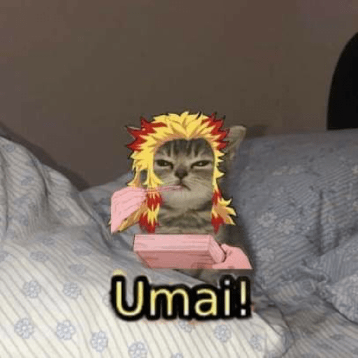 Aaaaaaa 13