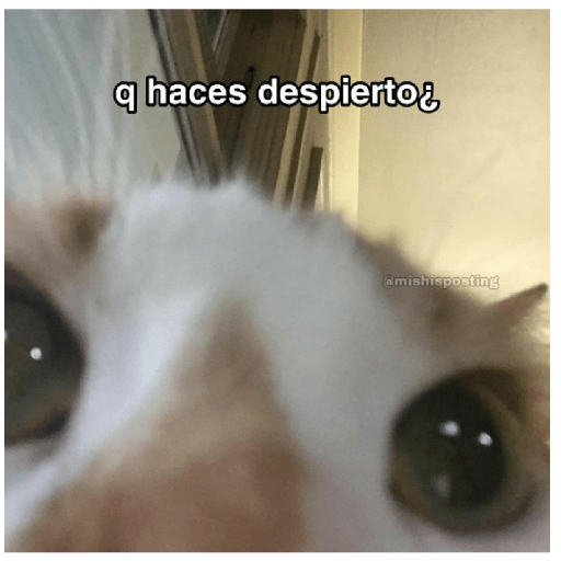 Aaaaaaa 3