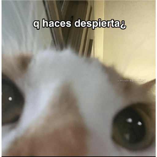 Aaaaaaa 4