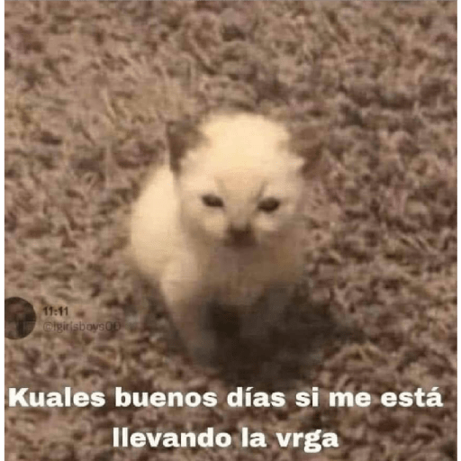 Aaaaaaa 17